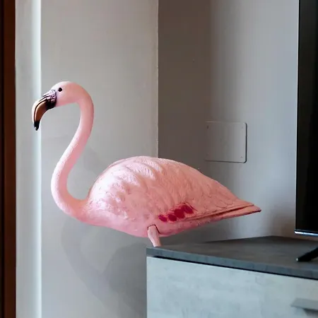 Flamingo House
